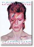 Bowie Aladdin Sane Magnet - Flat Design aquarius ent