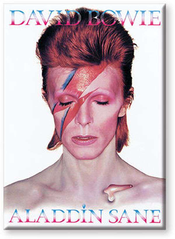 Bowie Aladdin Sane Magnet - Flat Design aquarius ent