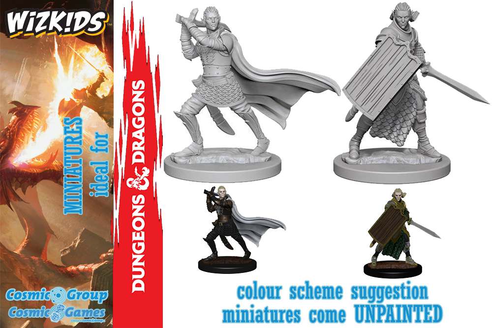 Pathfinder Dcum Elf Male Paladin Miniatyr wizkids