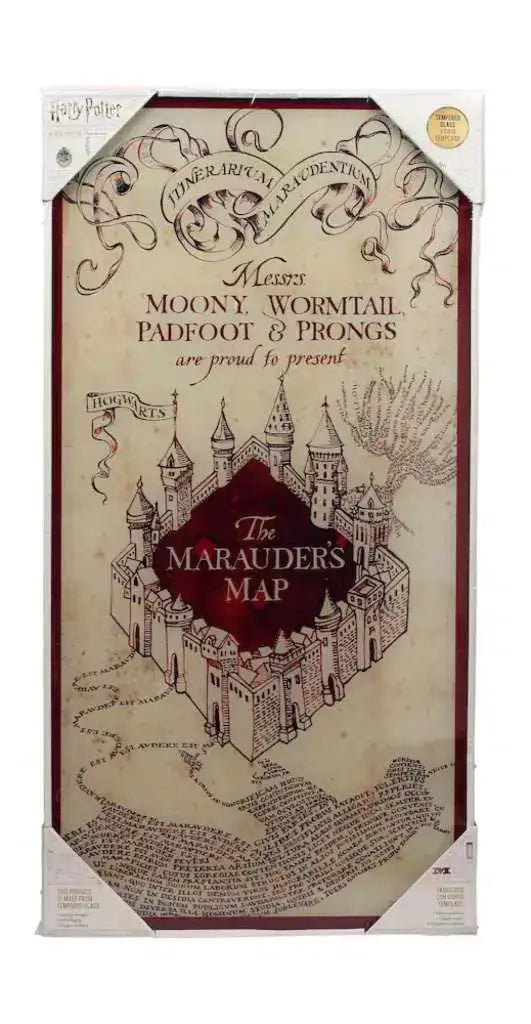 HP MARAUDER'S MAP GLASS POSTER