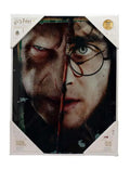HP HALF FACE HARRY&VOLDEMORT GLASS POSTER