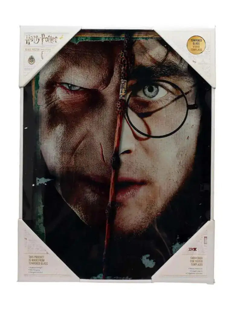 HP HALF FACE HARRY&VOLDEMORT GLASS POSTER