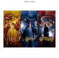 HP Harry Ron och Hermione 1000-bitars pussel - Robotto