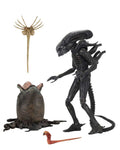 Alien Ultimate 40th Anniversary Big Chap AF - Samlarfigur neca