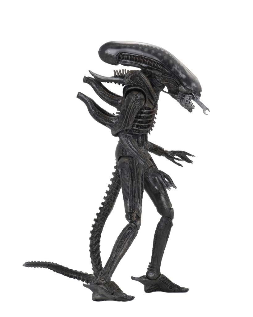 Alien Ultimate 40th Anniversary Big Chap AF - Samlarfigur neca