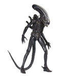 Alien Ultim 40th Ann Big Chap 1/4 AF