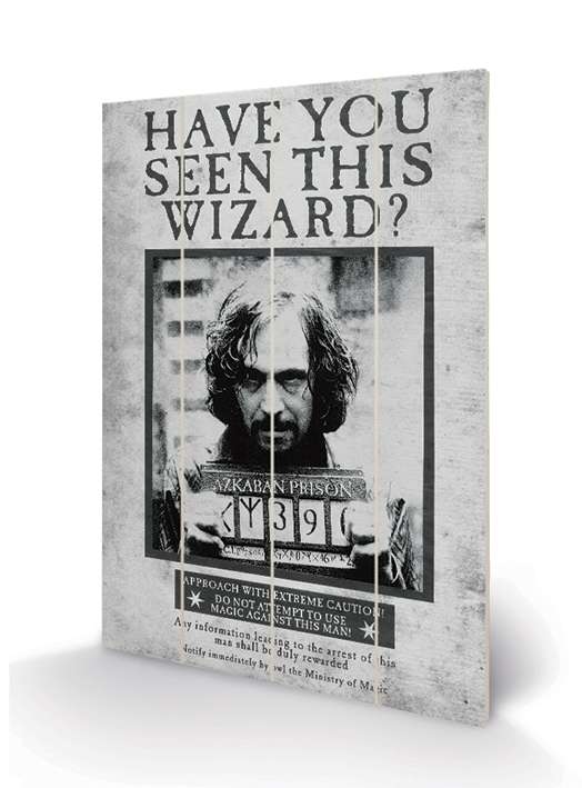 Harry Potter Sirius Wanted Wood Print 40 x 59 cm pyramid international