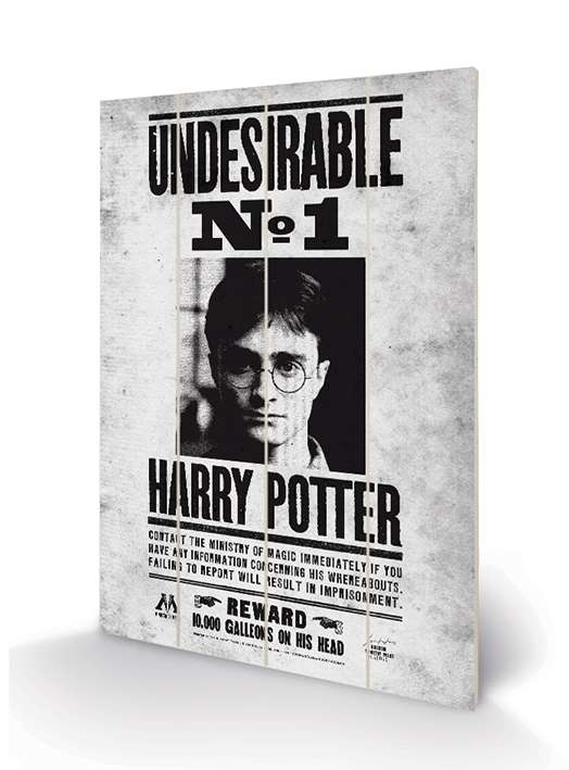 Harry Potter Undesirable No. 1 Trätryck pyramid international