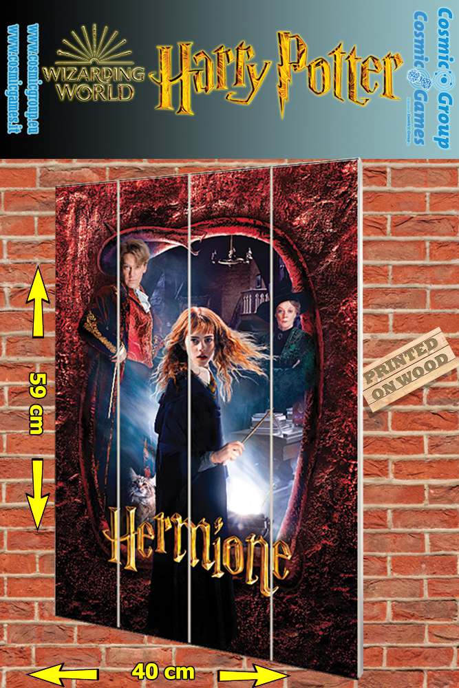 Harry Potter Hermione Trätryck - 40 x 59 cm pyramid international