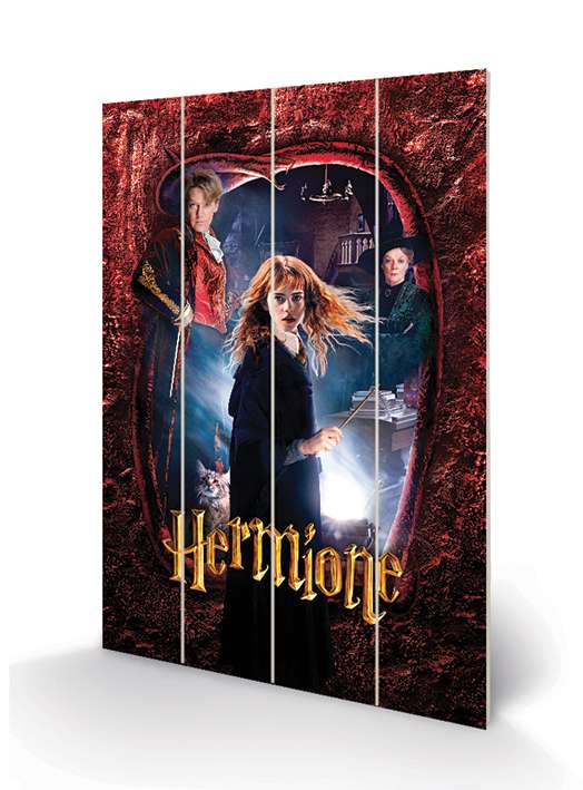Harry Potter Hermione Trätryck - 40 x 59 cm pyramid international