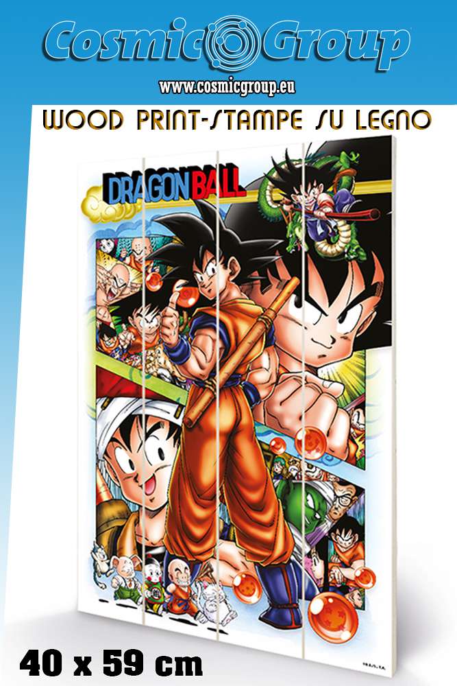 Dragon Ball Comic Strip Trätryck 40 x 59 cm pyramid international