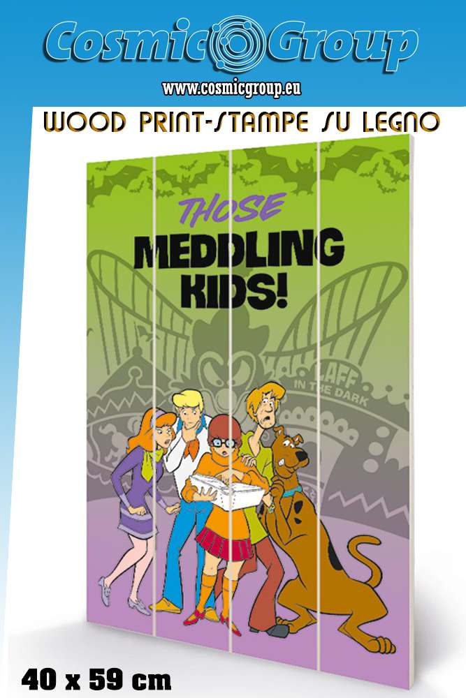 Scooby Doo Meddling Kids Trätryck pyramid international