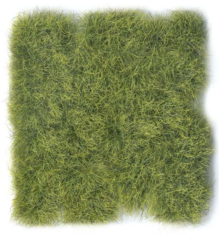 Tuft Wild SC428 Jungle Ex Large - Robotto