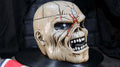 Iron Maiden The Trooper Head Box nemesis now
