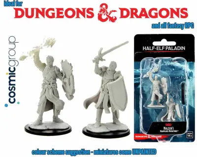 D&D Nolzur's Marvelous Miniatures - Halv-alv Manlig Paladin