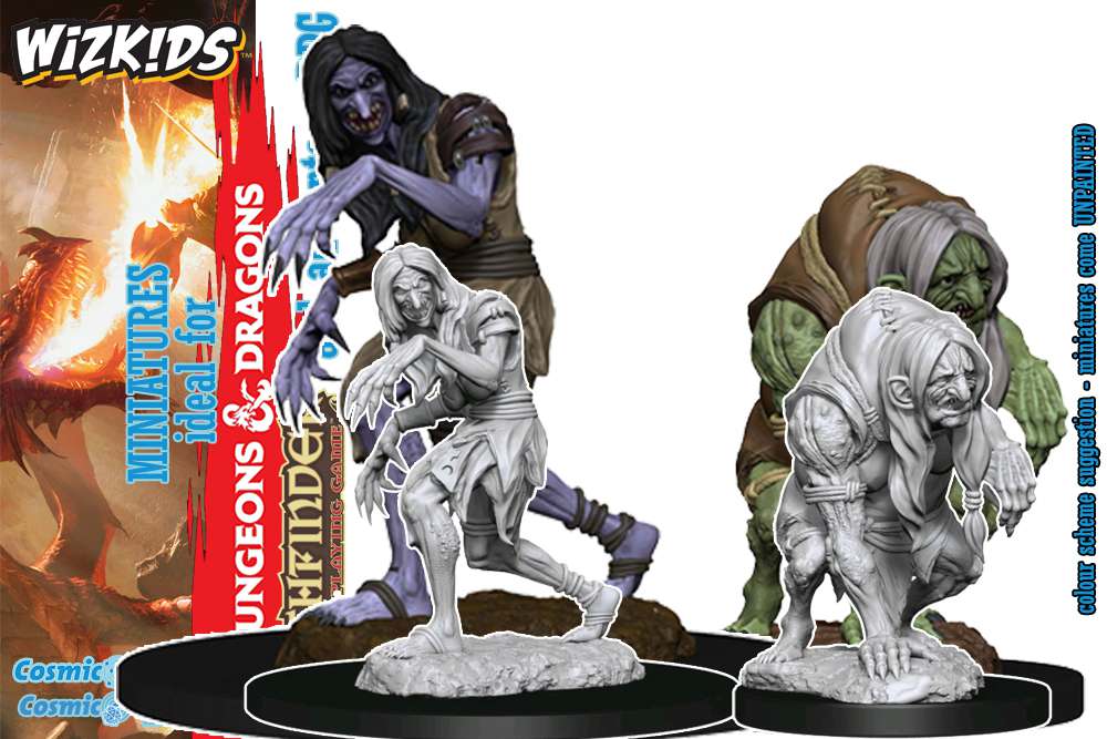 Pathfinder Annis Hag & Green Hag Miniaturer wizkids