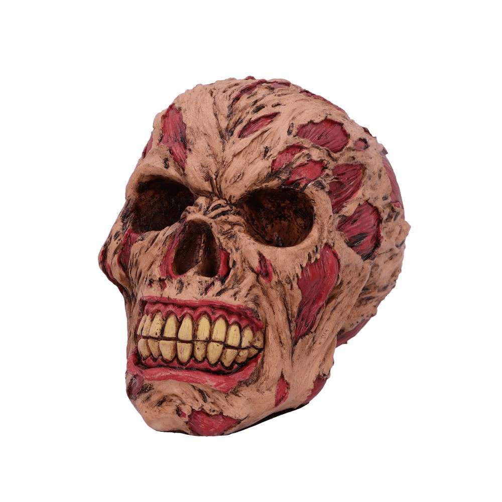 Ruttande Zombie Skalle Ornament 17cm nemesis now