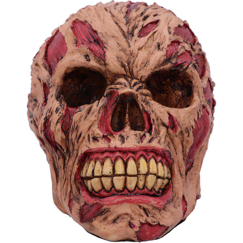 Ruttande Zombie Skalle Ornament 17cm nemesis now