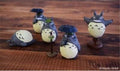 Totoro Figurer Sortiment 01 (6) studio ghibli