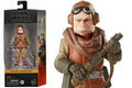 Star Wars The Black Series Kuiil Actionfigur hasbro