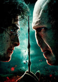 Harry Potter Harry vs Voldemort 3D Effekt Anteckningsblock - Robotto