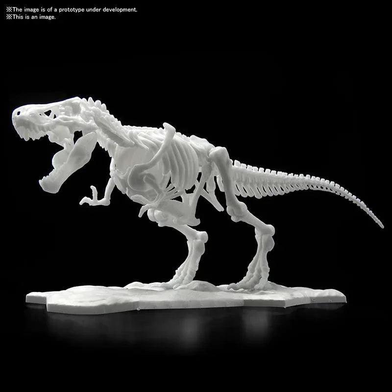 Dinosaur Limex Skelett Tyrannosaurus MK – En imponerande samlarobjekt - Robotto
