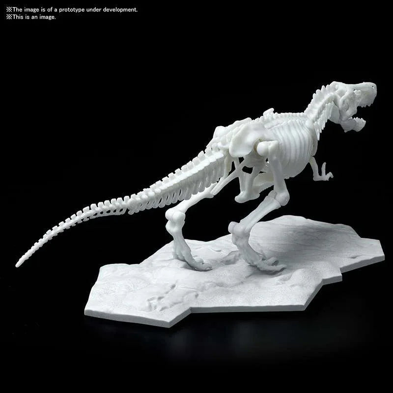 Dinosaur Limex Skelett Tyrannosaurus MK – En imponerande samlarobjekt - Robotto