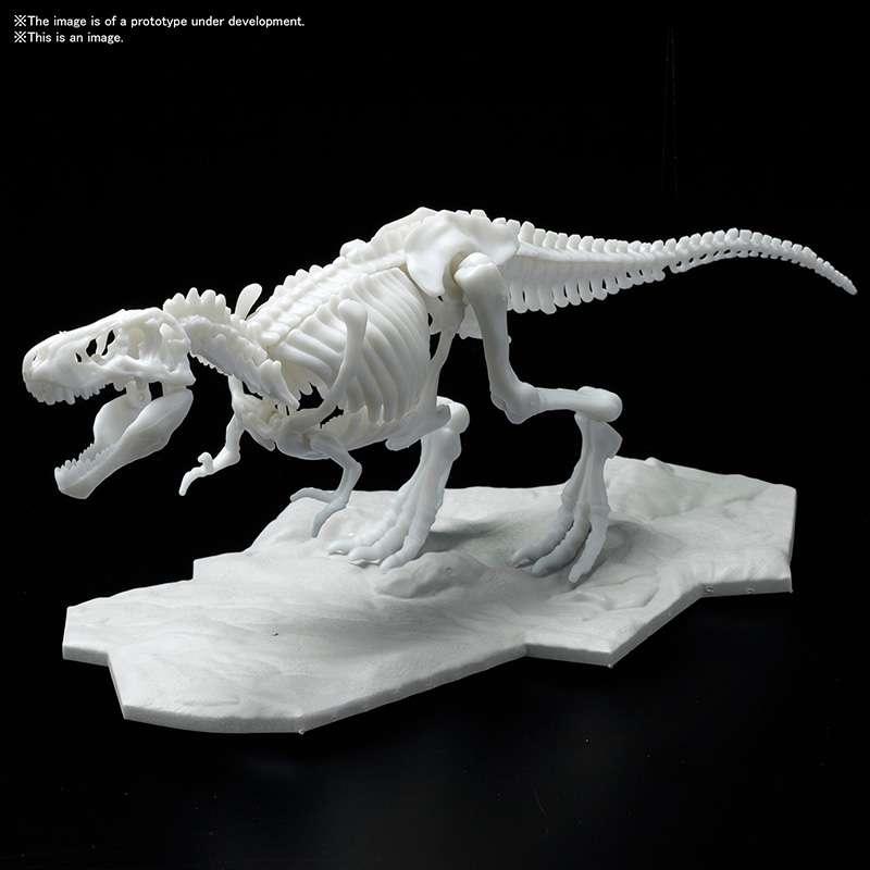 Dinosaur Limex Skelett Tyrannosaurus MK – En imponerande samlarobjekt - Robotto
