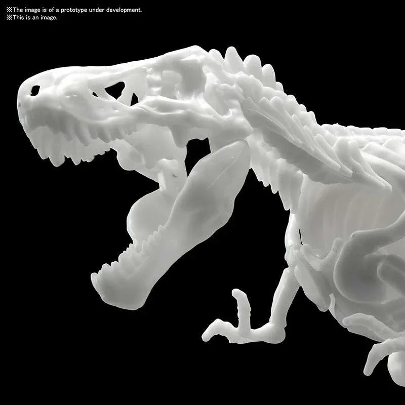 Dinosaur Limex Skelett Tyrannosaurus MK – En imponerande samlarobjekt - Robotto