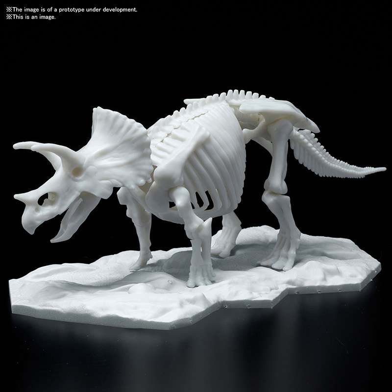 Triceratops Limex Skelett Modell bandai model kit gunpla