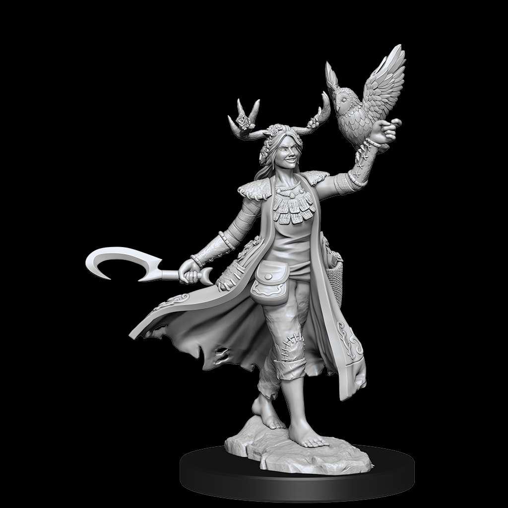 D&d Frameworks - Human Druid Female Miniature wizkids