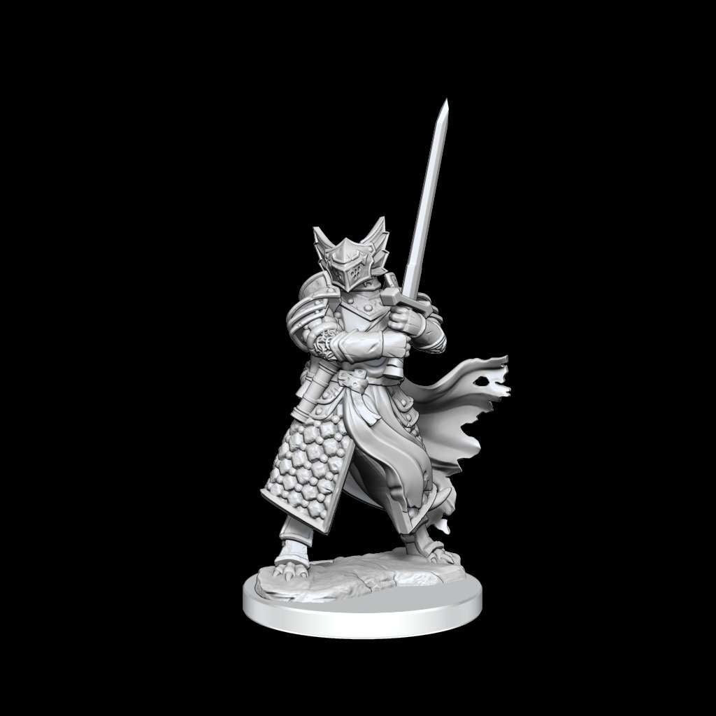 D&D Frameworks: Dragonborn Paladin Male - Det Ultimata Spelsetet wizkids