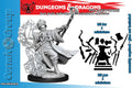 D&d Frameworks - Manlig Trollkarl wizkids
