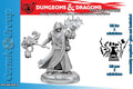 D&D Frameworks - Manlig Cleric av Mänsklig Ras wizkids
