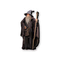 Funky Chunky Gandalf Magnet - Lord of the Rings aquarius ent