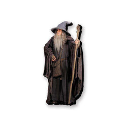 Funky Chunky Gandalf Magnet - Lord of the Rings - Robotto