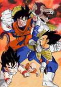 Dragon Ball Z Goku vs Vegeta 3D Effekt N - Robotto