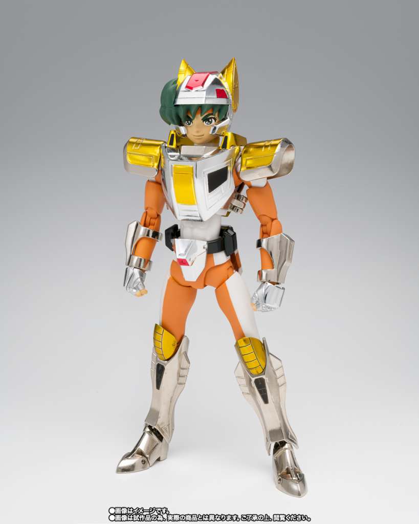 Steel Saint Landcloth Daichi Revival bandai