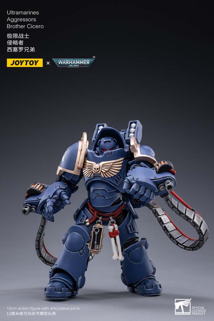 Wh40k Ultramarines Aggressors Pack 1/18 joytoy