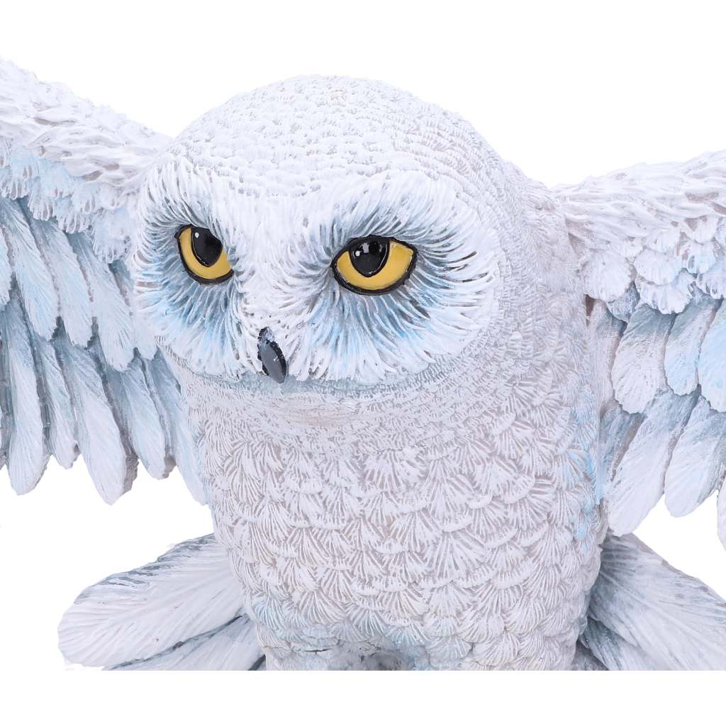 Harry Potter Hedwig Väggplakett 45 cm nemesis now