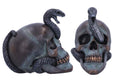 Serpentine Fate Gothic Snake Skull nemesis now