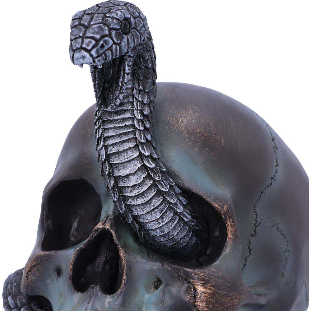 Serpentine Fate Gothic Snake Skull nemesis now