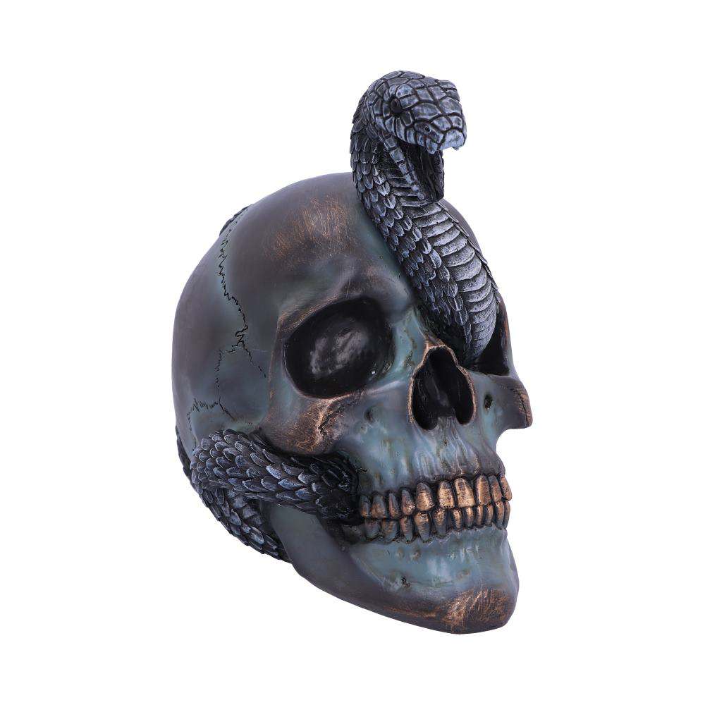 Serpentine Fate Gothic Snake Skull nemesis now