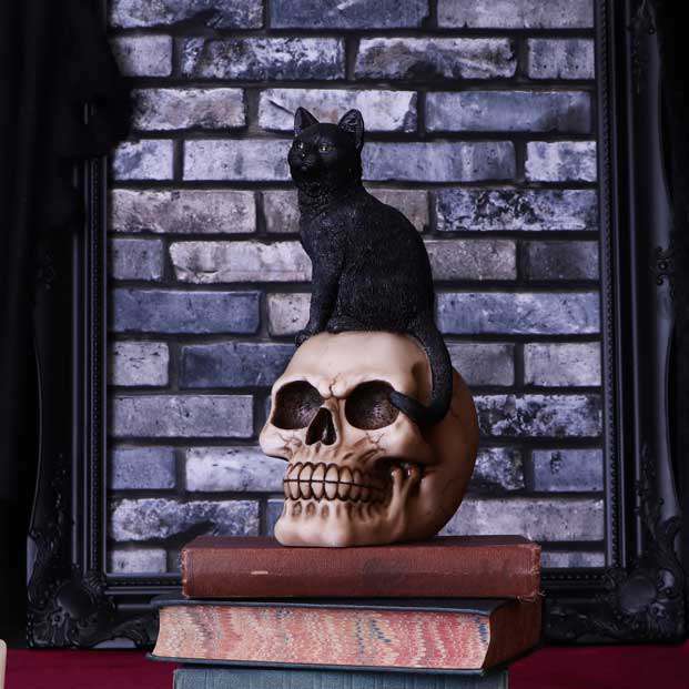 Familiar Fate Skulptur med Svart Katt och Skalle nemesis now