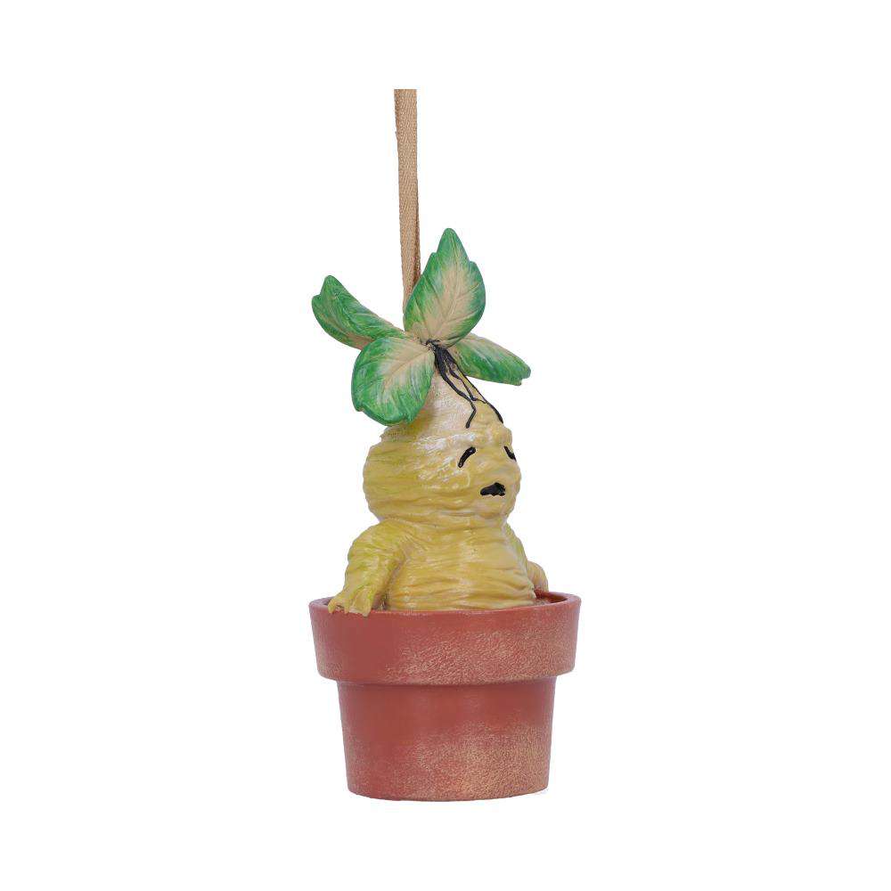 Harry Potter Mandrake Hängande Ornament nemesis now
