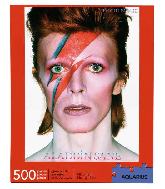 David Bowie Aladdin 500 Delars Pussel aquarius ent