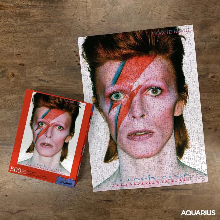 David Bowie Aladdin 500 Delars Pussel aquarius ent