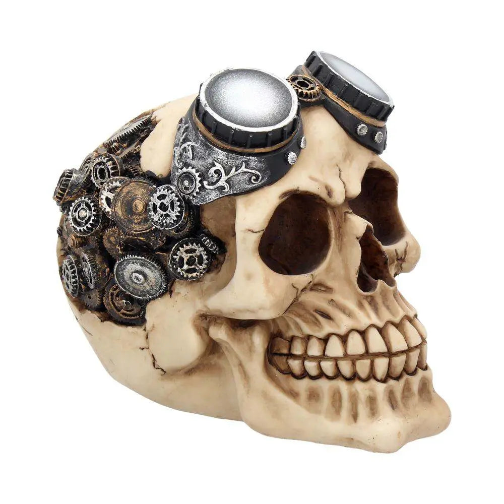 Steampunkglasögon Skalle