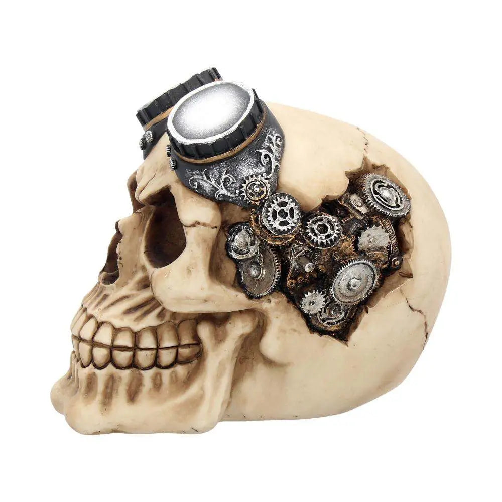 Steampunkglasögon Skalle