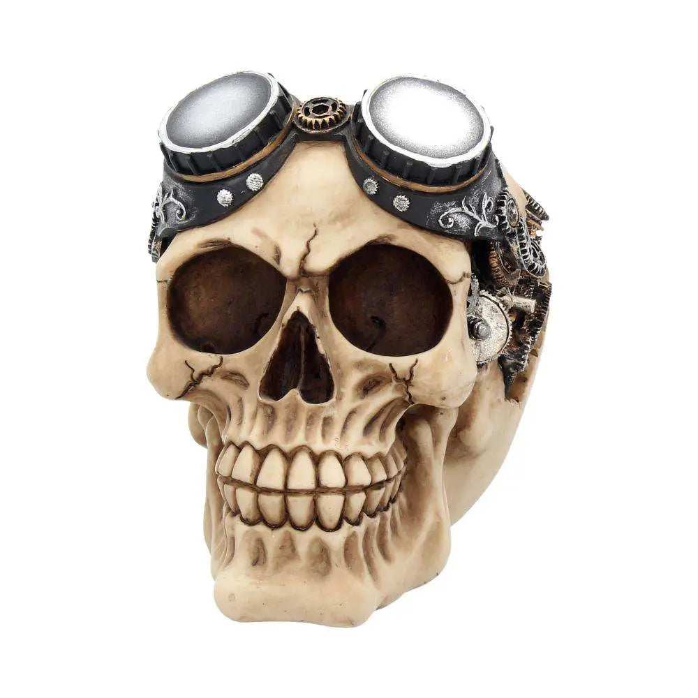 Steampunkglasögon Skalle